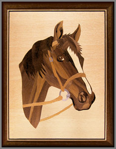 Horses Head