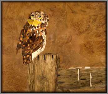 Owl on a fence