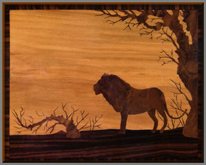 Evening watch