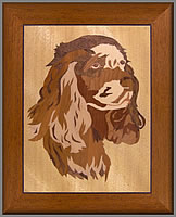 King Charles Spaniel