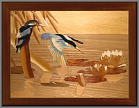 Kingfishers on Lily Pond 3rd