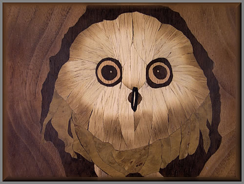 Young Ollie detail view