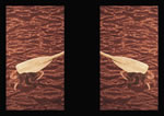 10a03 Thumbnail