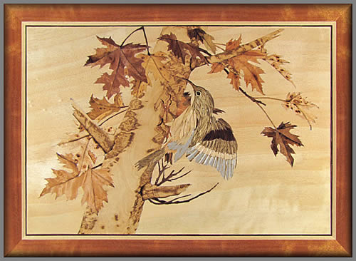 Treecreeper