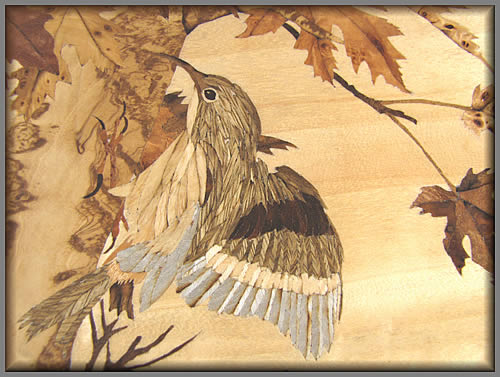 Treecreeper Detail View