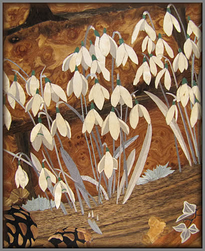 Snowdrops Detail View