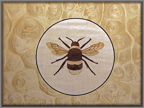 Detail View