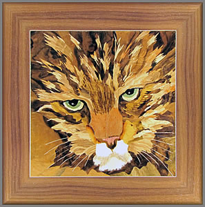 Angry Cat