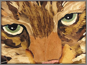 Angry Cat Detail