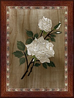 The White Rose
