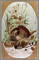 Wild Life Home
