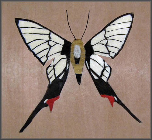 Butterflies detail view