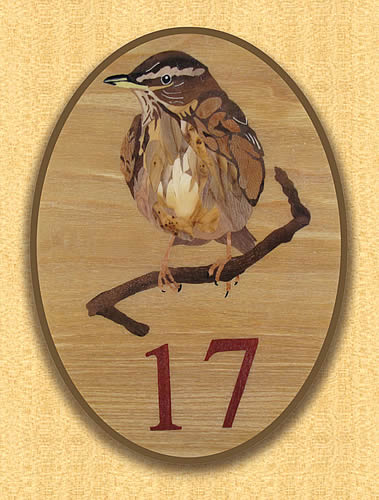 17 Redwing