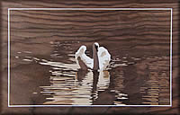 Muted Reflections