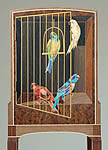 Parrots