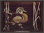 Sundown Wood Duck