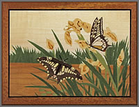 Water Butterflies