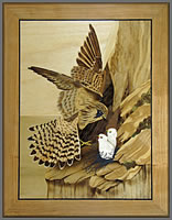 Kestrel with Chicks