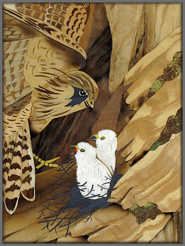Kestrel with Chicks detail view