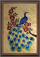 The Peacock