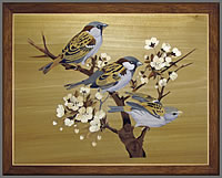 Sparrows