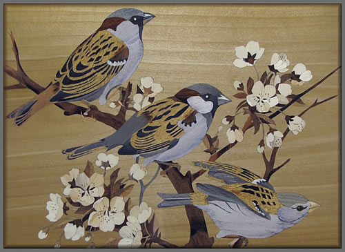 Sparrows detail view