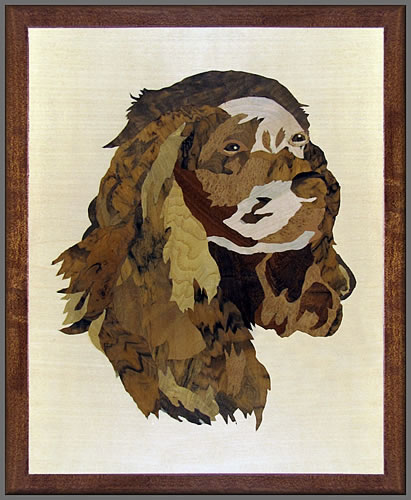 King Charles Spaniel