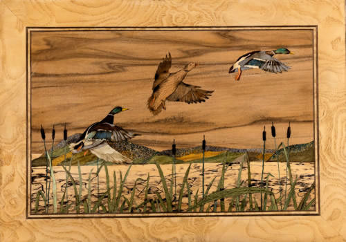 Ducks in Flight