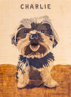 A Yorkshire Terrier Charlie