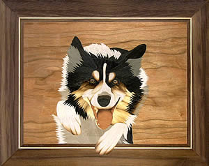 Flip the Collie