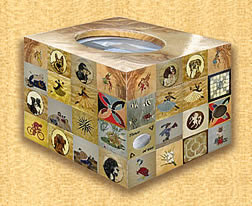 Box of Boxes