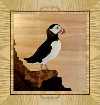 Puffin