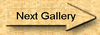 Go on to the Premier Class Gallery
