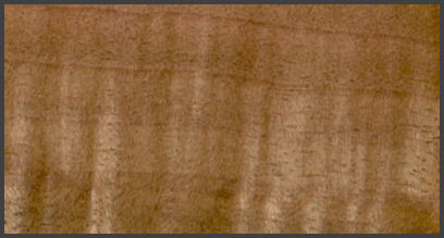 Eucalyptus veneer