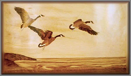 Ducks in Flight