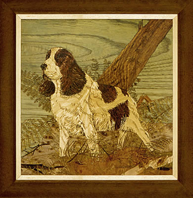 Springer Spaniel