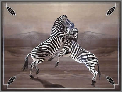 Fighting Zebras