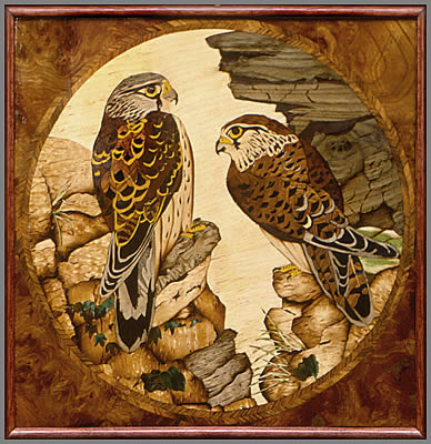 Kestrels