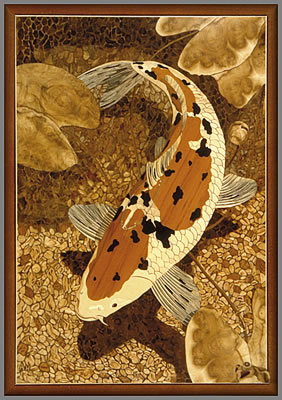 Koi Carp