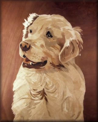 2005_208_my_dog_by_dave_gardiner_jpg