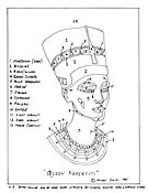 Queen Nefertiti