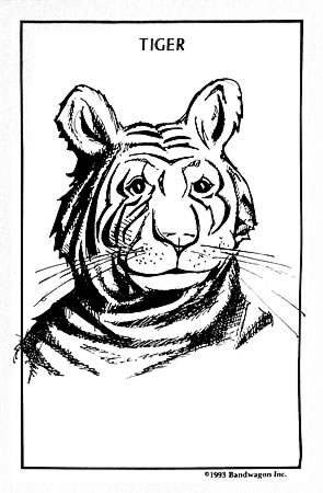 Tiger design