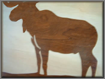 Detail from Moose picture