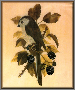 Long Tailed Tit