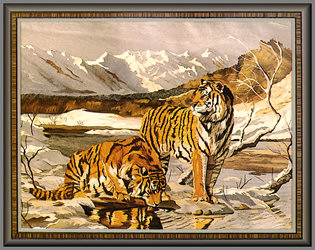 Siberian reflections