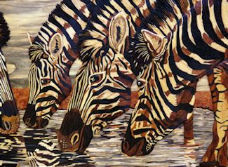 Zebras Detail View