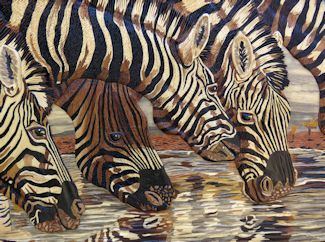 Zebras Detail View